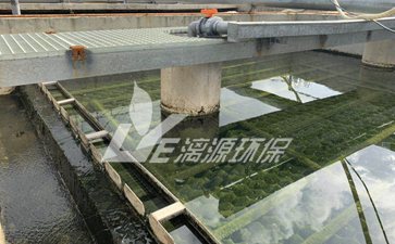 含溶劑廢水處理方法